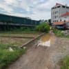 đất sơn đồng tiên phương