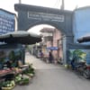 đất phượng đồng phụng châu