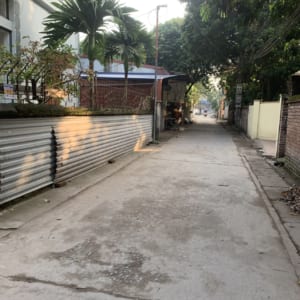 đất phượng đồng phụng châu